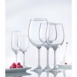 6 VERRES A PIEDS PINOT 47 cl