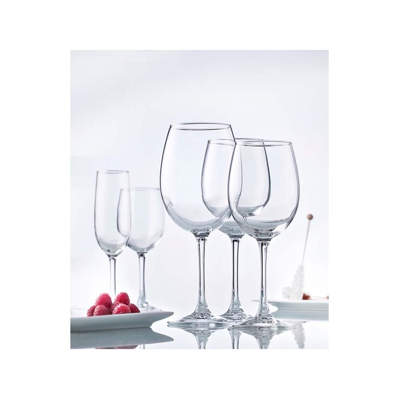 6 VERRES A PIEDS PINOT 47 cl