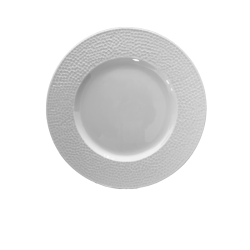 12 ASSIETTES PLATES 27CM BULLE