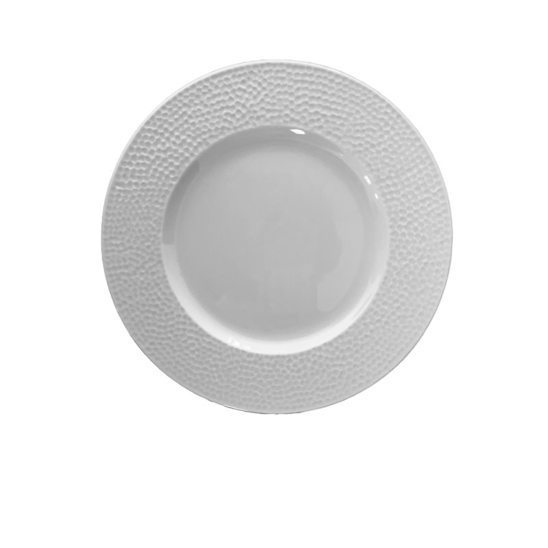 12 ASSIETTES PLATES 27CM BULLE