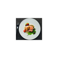 6 ASSIETTES PLATES MONALYSA RONDE 27CM