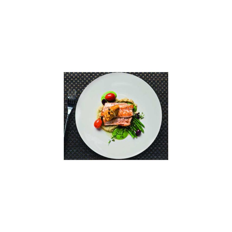 6 ASSIETTES PLATES MONALYSA RONDE 27CM