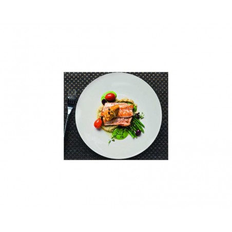 6 ASSIETTES PLATES MONALYSA  RONDES 21CM