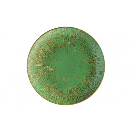 12 ASSIETTES PLATES SAGE SNELL 27 CM