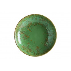 6 ASSIETTES CALOTTES SAGE SNELL 23 CM