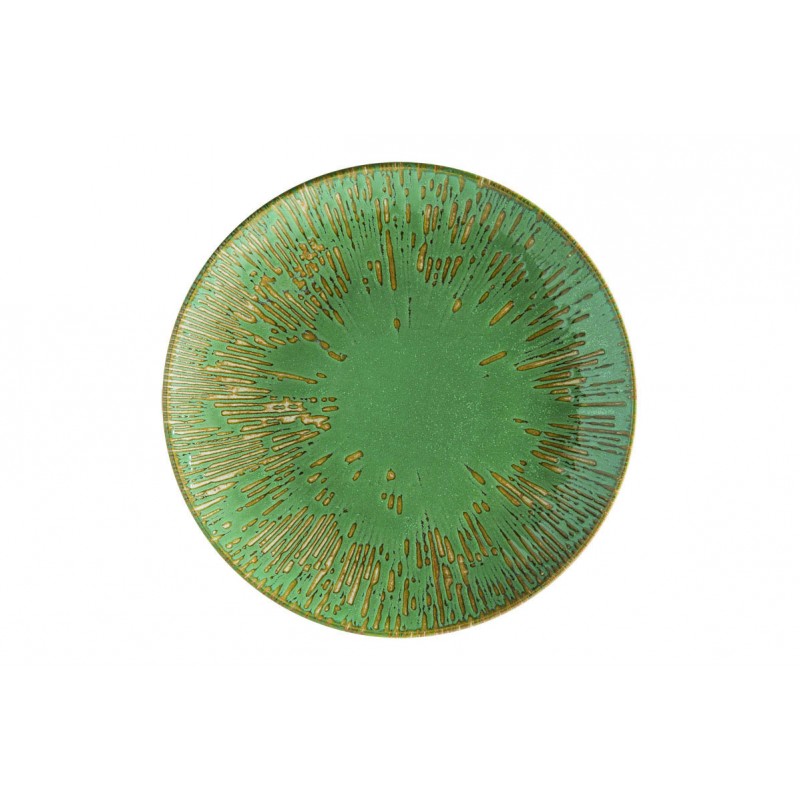 12 ASSIETTES PLATES SAGE SNELL 21 CM