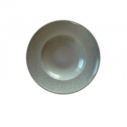 4 ASSIETTES A PATES 31CM SPLACH