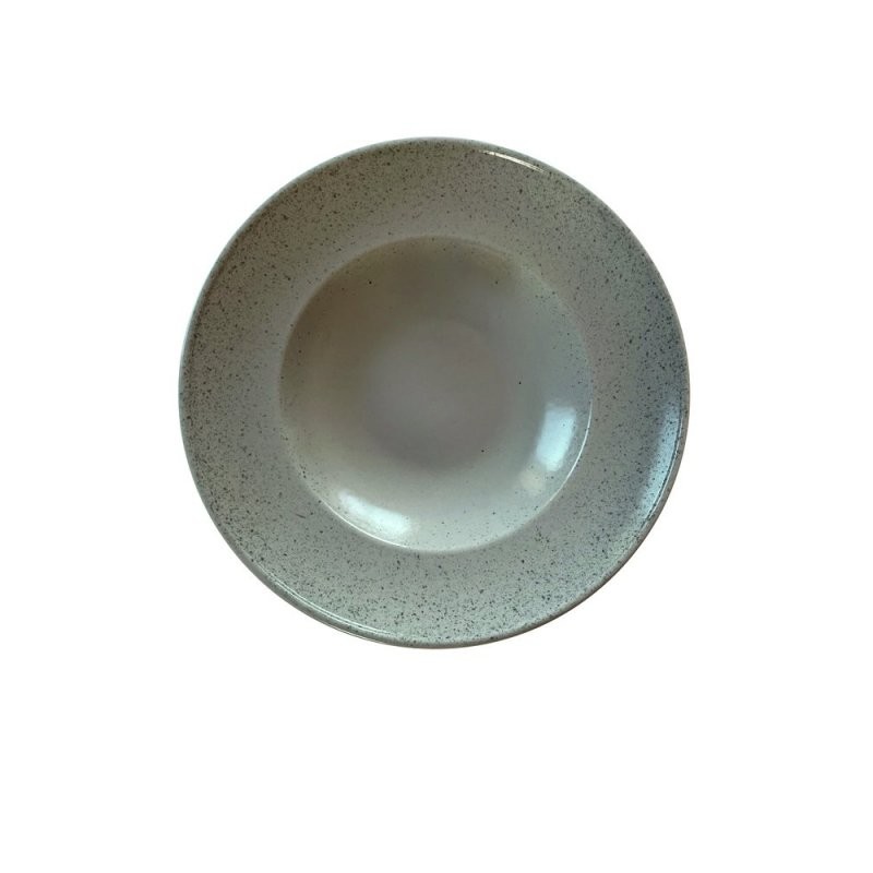 4 ASSIETTES A PATES 31CM SPLACH