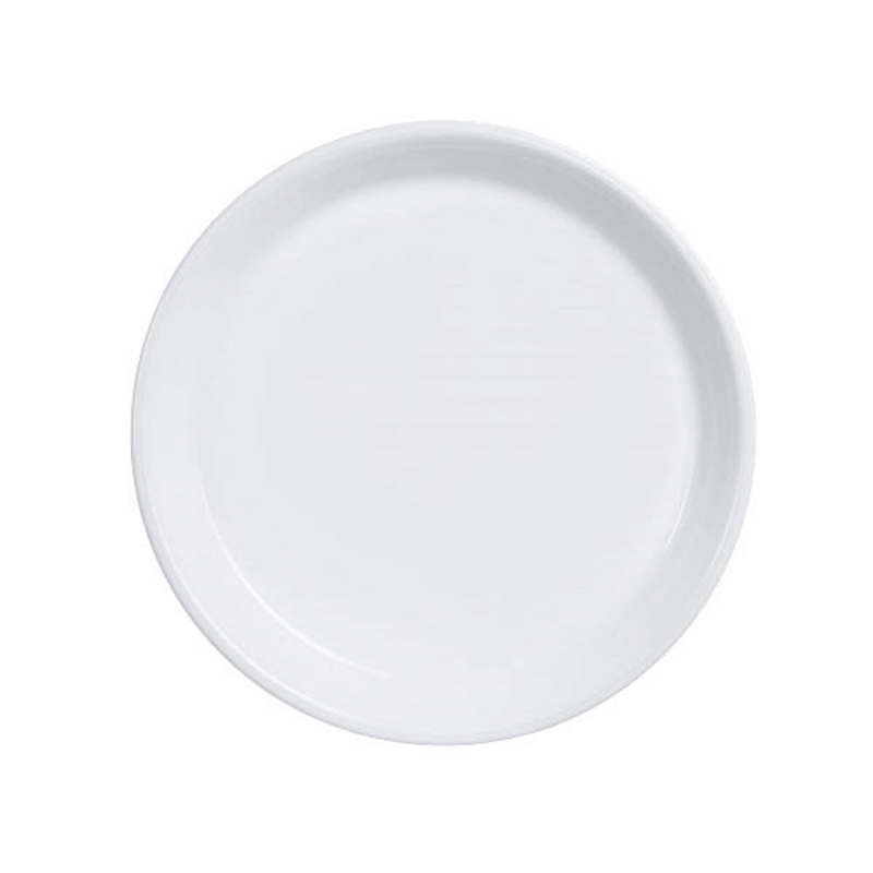 6 ASSIETTES RONDES REGITHERMIE 230