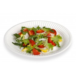 1000 ASSIETTES EN CARTON BLANCS 23CM