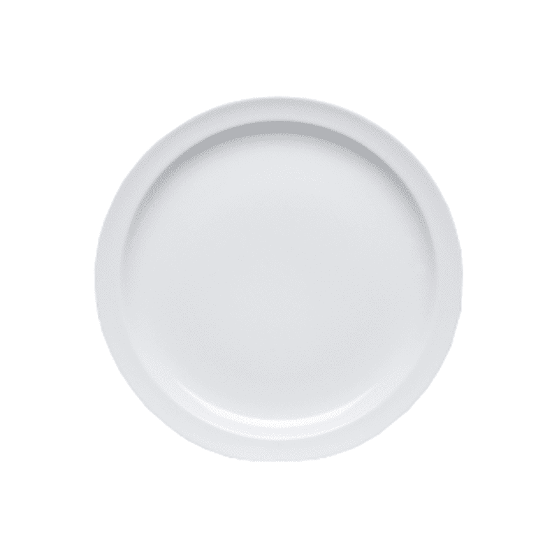 4 ASSIETTES PLATES 28 CM MYRTILLE