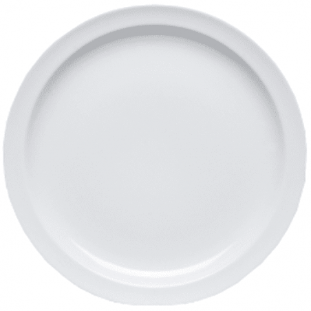 4 ASSIETTES PLATES 28 CM MYRTILLE