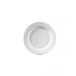 12 ASSIETTES DE PRESENTATION 31 CM ANTIQUE