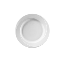 12 ASSIETTES PLATES 28CM ANTIQUE