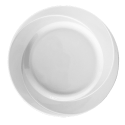 12 ASSIETTES PLATES 26CM ANTIQUE