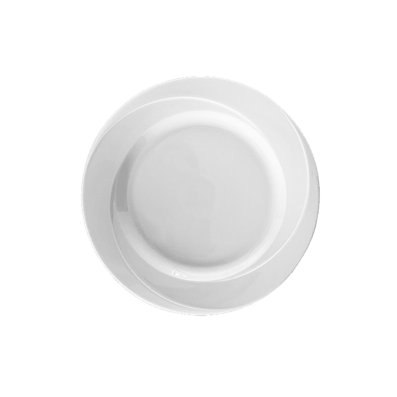 12 ASSIETTES PLATES 26CM ANTIQUE