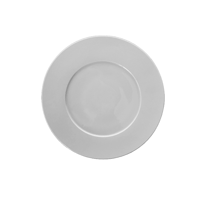 12 ASSIETTES PLATES 27CM VELOURS