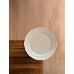 12 ASSIETTES PLATES 27CM VENTOUX