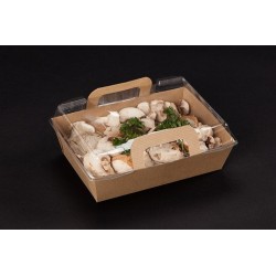 200 PANIERS REPAS CHAUDS VISION+CARRE 500ml