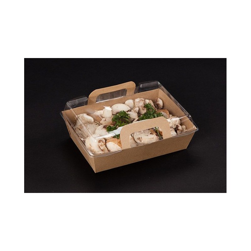 100 PANIERS REPAS CHAUDS VISION 850ml