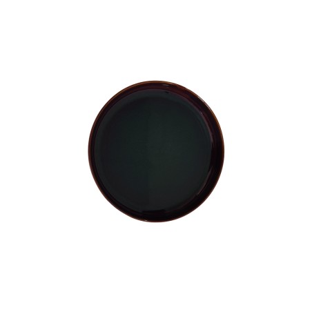 ASSIETTE SPECIALITE 27CM NYMPHEAS